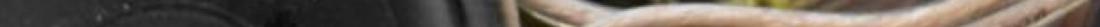 Vasenfoto1