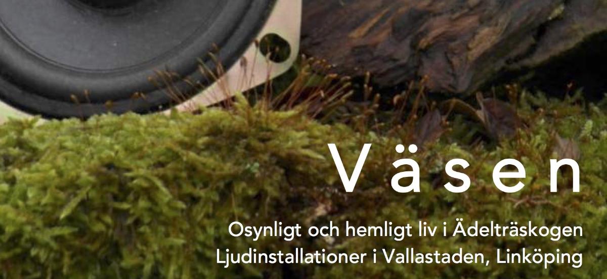 Vasenfoto2
